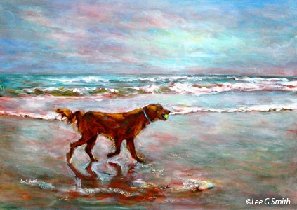 Beach Ball Retriever
