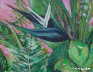Black Bird of Paradise