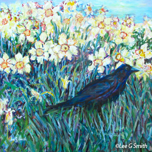 Black Crow and Yellow Daffodils