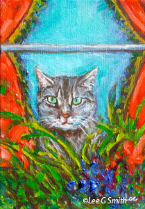 Cat in Window