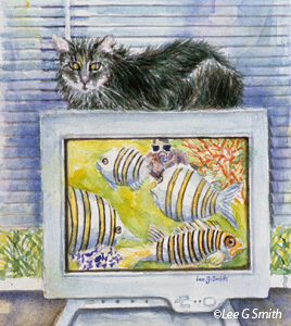 Computer Cat