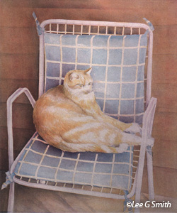 Jake on Plaid Chair