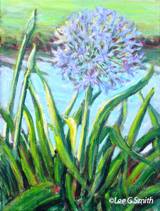 Lily of the Nile