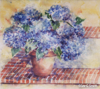 Pot of Hydrangeas