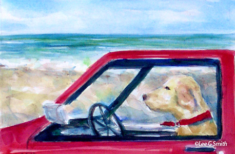Red Car, Yellow Dog