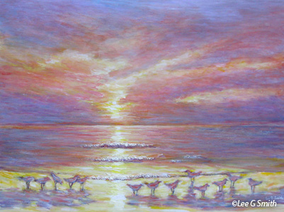 Sunset and Gulls