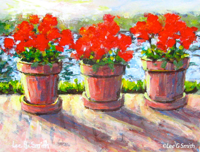 Three Pots of Geraniums