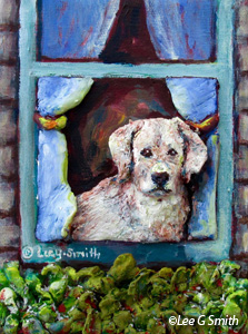 Dog In Window, 2-D, 3-D