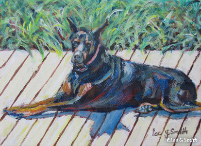 Doberman Robin