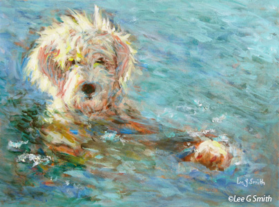 Doodles Do Swim