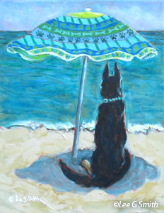 Flare, Shepherd Mix Ocean Watcher