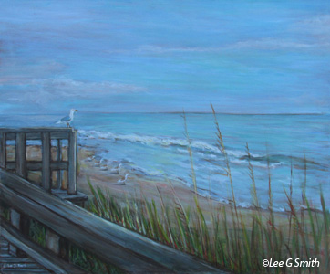 Gull Ocean Watcher Jaycee Beach