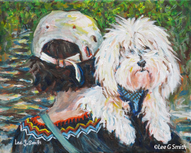 Happy Havanese