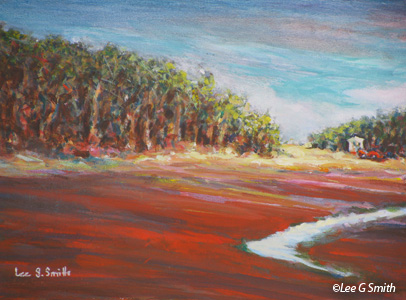 Harwich Cranberry Bog