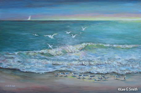JayCee Beach Surf and Birds