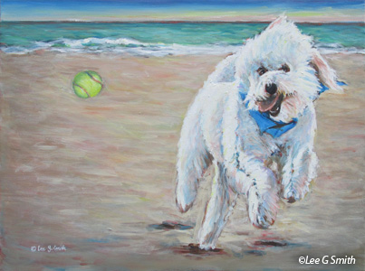 Labradoodle On Beach