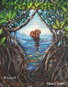 Oates and Indian River Mangroves