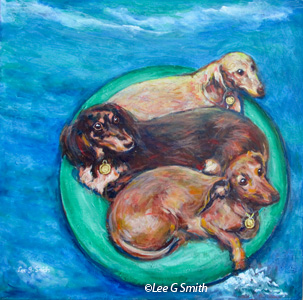 Rescue Three Dachshunds