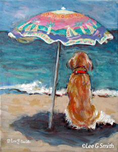 Retriever Ocean Watcher