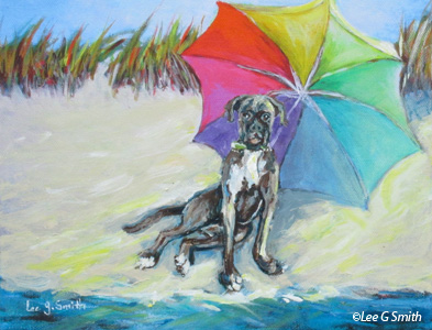 Umbrella and Boxer