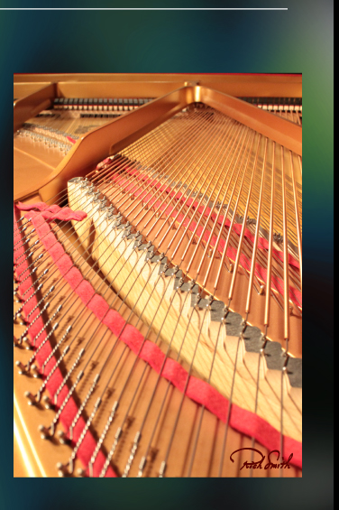 Photo by Rich Smith of Piano Harp. 
